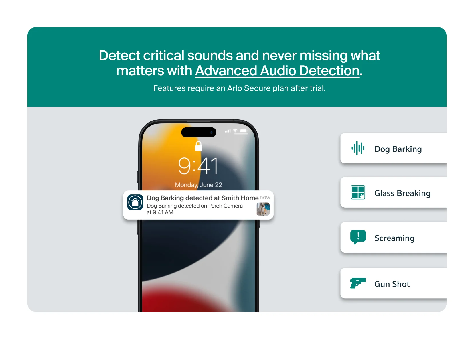 Essential (2025 Release) - Image 5
