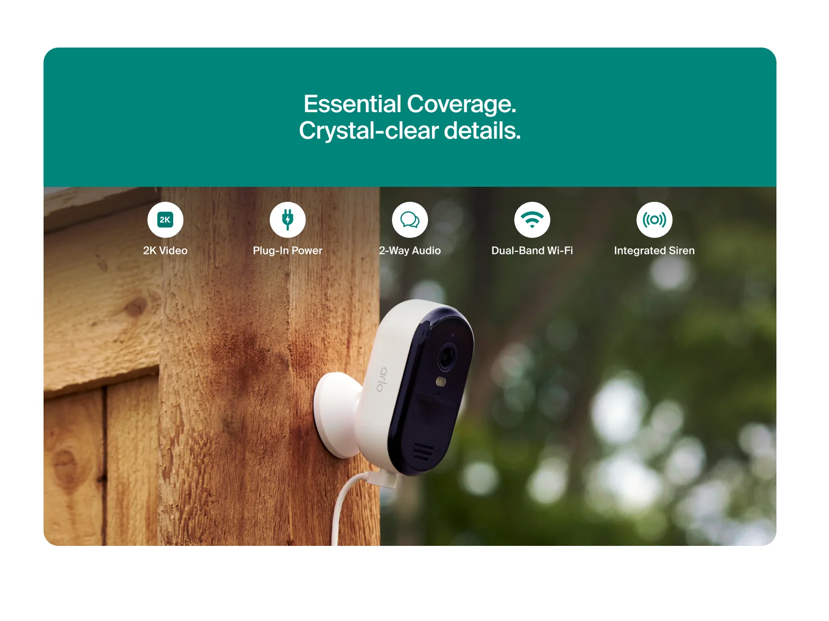 Essential (2025 Release) - Image 6