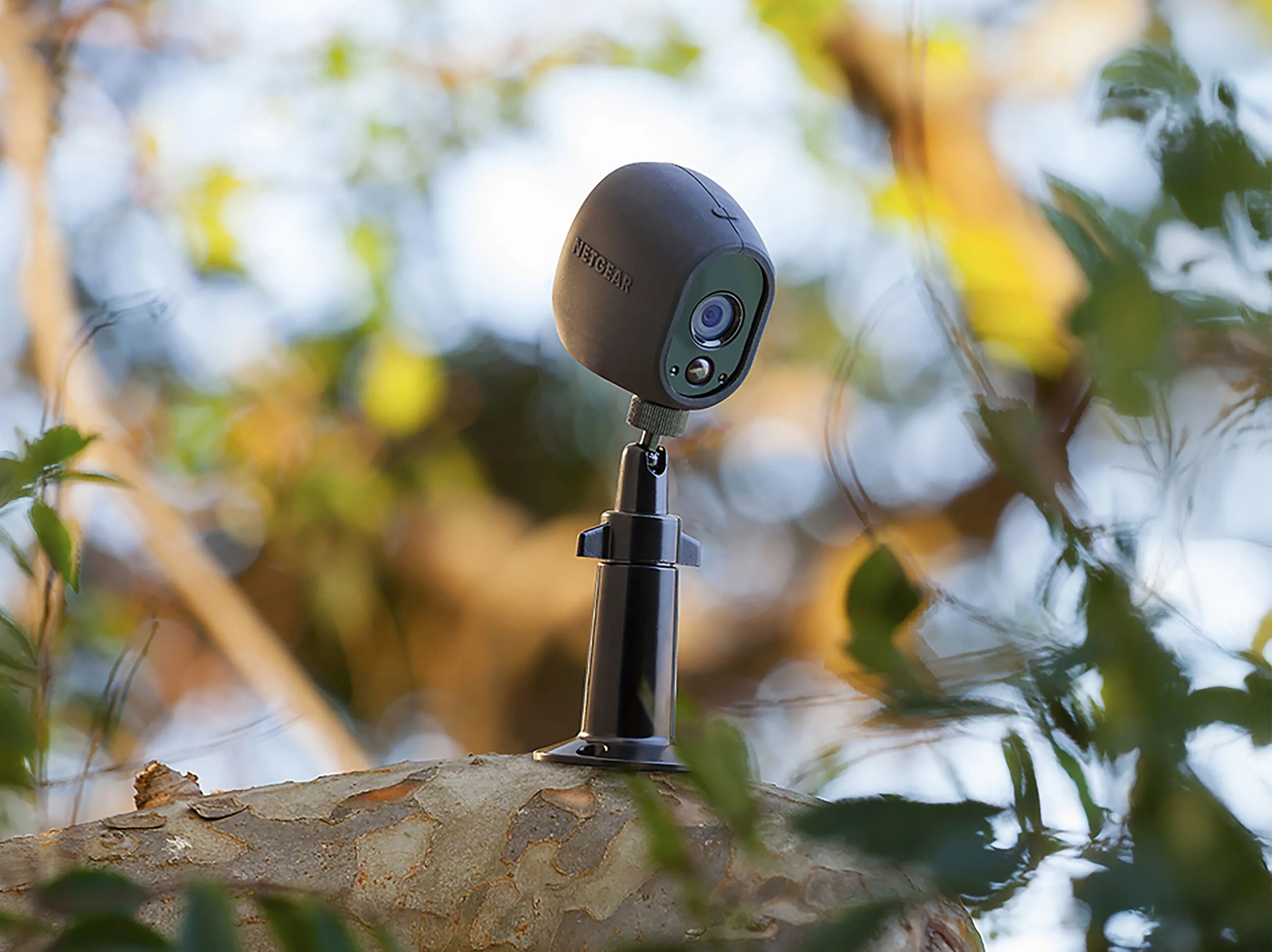 Adjustable Indoor/Outdoor Mount - Image 2